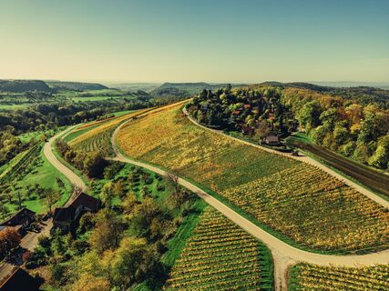 DSGO Schmidbachtal Beilstein Weinlandschaft Herbst Chris Frumolt2022 8