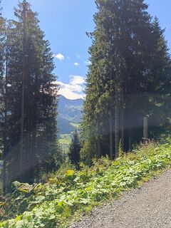 Foto von Kirsten Genglawski entlang der Tour