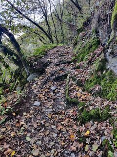 Foto de Rene De Ruyter a lo largo del recorrido