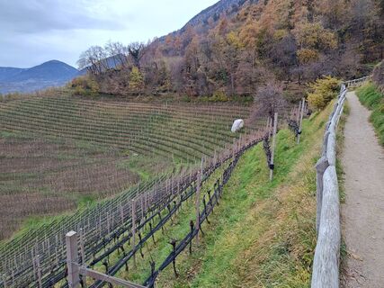 Fotografia z Thomas Oberholzer na trase