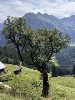 Photo de UliRx le long du parcours
