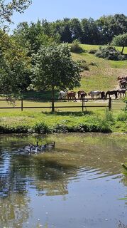 Fotografia z Eric Stoklassa na trase