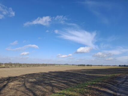 Foto de nordbergschnecke a lo largo del recorrido