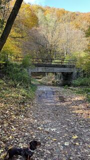 Fotografie z Kata na trase