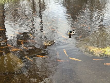 Foto de Ronald Bartel a lo largo del recorrido