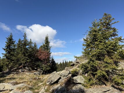 Photo de Gerti Glettler le long du parcours