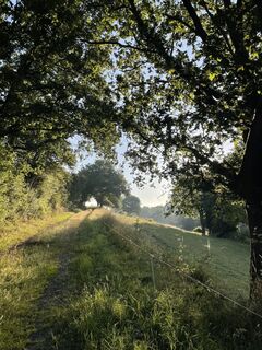 Foto de Csenger Reichardt a lo largo del recorrido