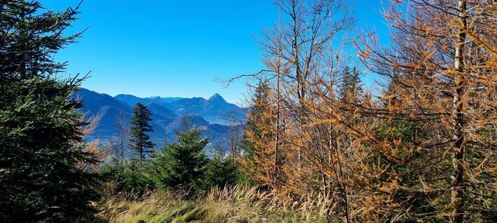 Foto von Gabi G entlang der Tour