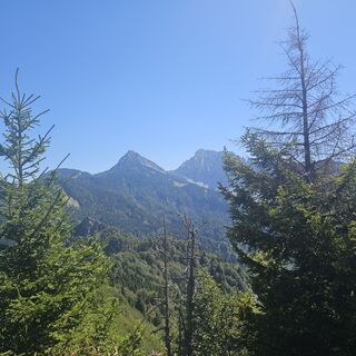 Photo de veronic26 le long du parcours