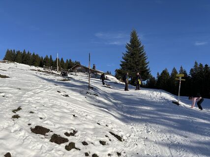 Foto von Peda entlang der Tour