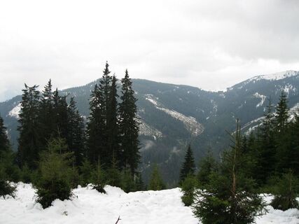 Mödlinger Hütte - Bosruckhütte