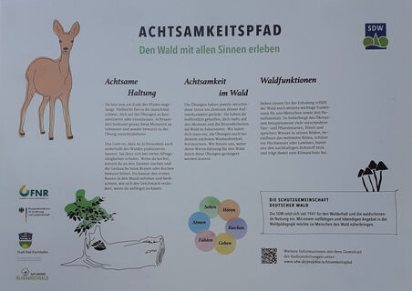 Achtsamkeitspfad