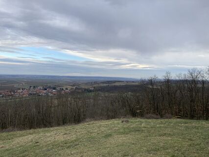 Foto de Brigitte Tanzberger a lo largo del recorrido