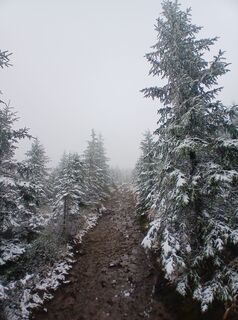 Foto de Daniel Kremiec a lo largo del recorrido