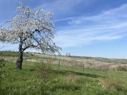 Foto von Wilfried Wagner entlang der Tour