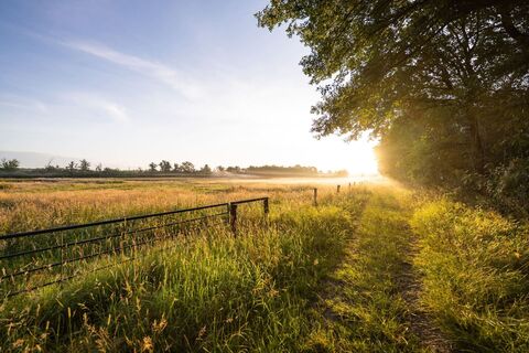 bocholt-naturschutzgebiet-burlo-vardingholter-venn-01