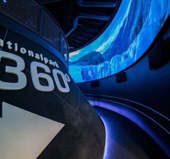 360° Panorama-Kino