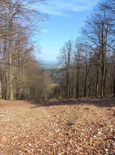 Foto von Frank Vieweg entlang der Tour