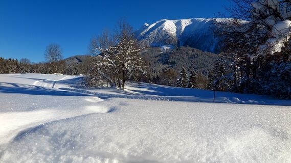Mandlboden-Loipe