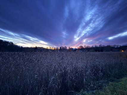 Foto de Manuela Sigrist a lo largo del recorrido