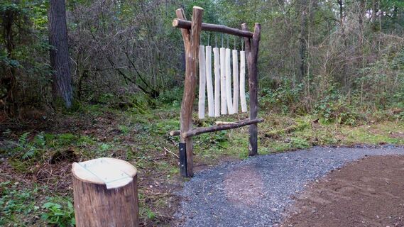 Musik aus Holz am Rundweg