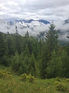 Foto von Wiffwagener entlang der Tour