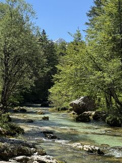 Foto von Borsos K entlang der Tour