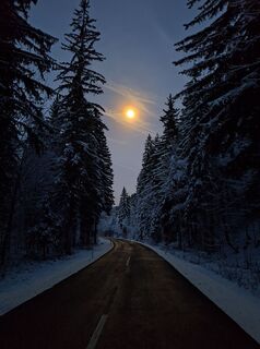 Foto von Dagmar Hofer entlang der Tour