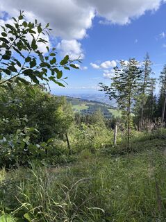 Foto von Alexandra Wasserbauer entlang der Tour