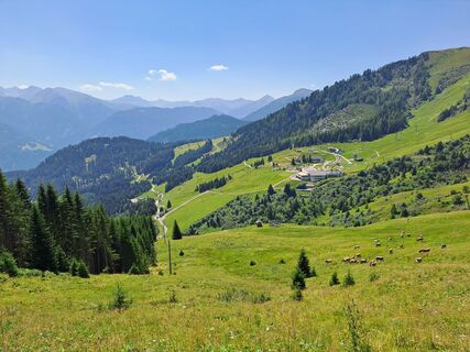 Foto von Wanderbursche66 entlang der Tour
