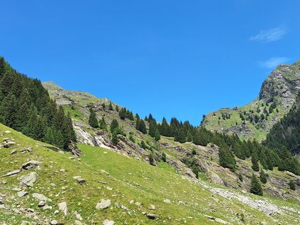 Foto von weinbaer04 entlang der Tour