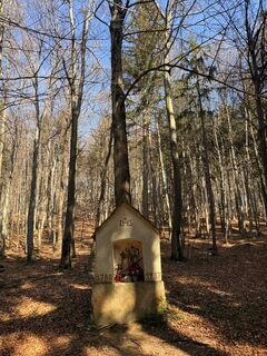 Foto von Leopold Povse entlang der Tour