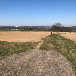 Blick nach Lichtenau/Sonnenlandpark