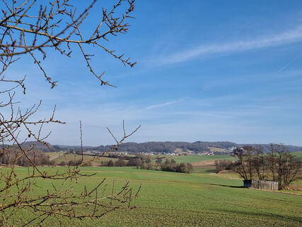 Ruhe am Waldrand