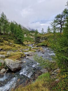 Foto von Anita Obermoser entlang der Tour