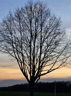 Photo de Klaus-Peter Holz le long du parcours