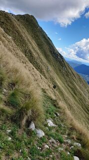 Fotografija s spletne strani Brigitte Hain na poti