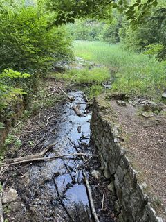 Photo de Robert - 1 le long du parcours