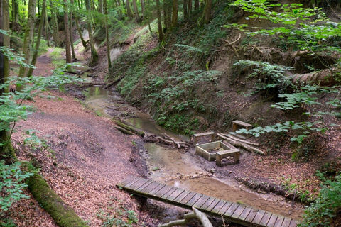 Klingenbachschlucht