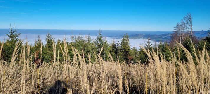 Foto von Gabi G entlang der Tour