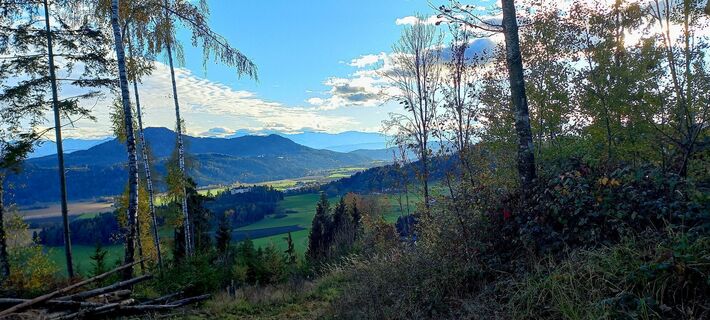 Foto von Schoby entlang der Tour