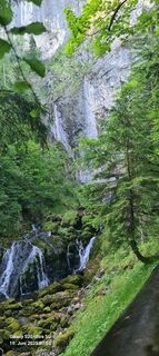 Zdjęcie z Waldmeister1955 wzdłuż trasy