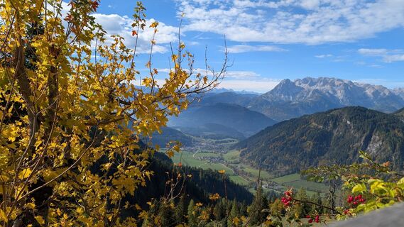 Foto von Pfefferam entlang der Tour
