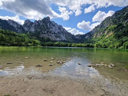 Fotografija s spletne strani Nici na poti