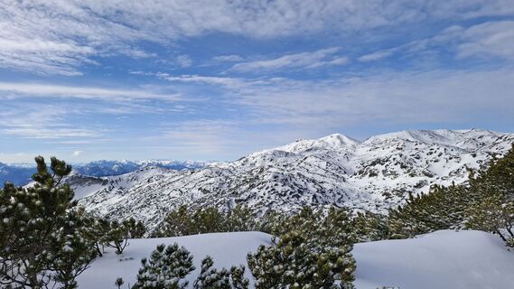 Zdjęcie z Jordy wzdłuż trasy