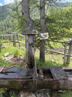 Photo de Moonytiger le long du parcours