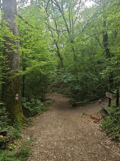 Photo de Katona Ferk Mariann le long du parcours