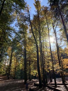 Fotografia z Koen De Wit na trase