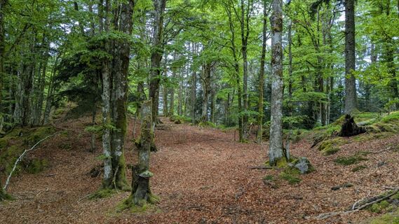 Photo de Richard Schwald le long du parcours
