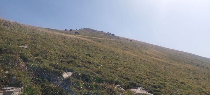 Foto von Anton Gresser entlang der Tour
